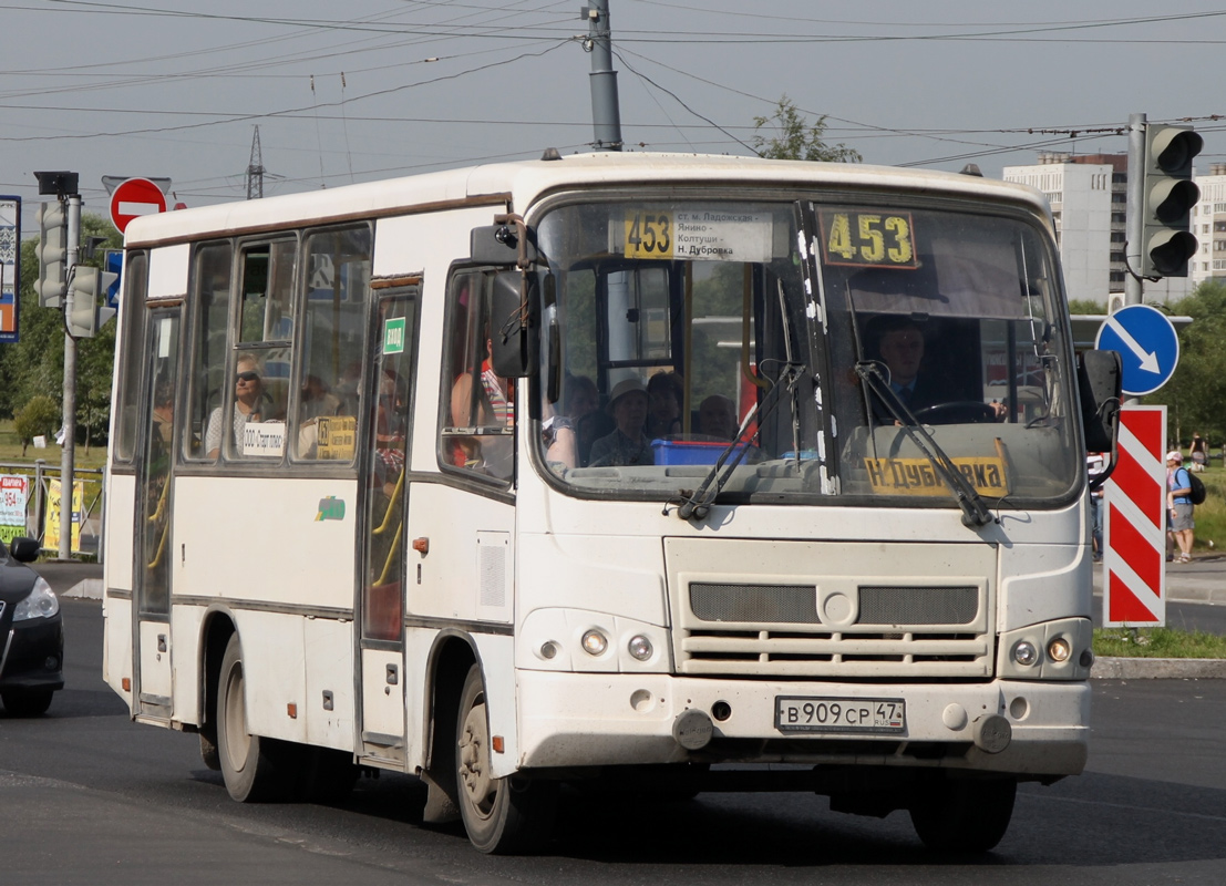 Ленинградская область, ПАЗ-320402-03 № В 909 СР 47