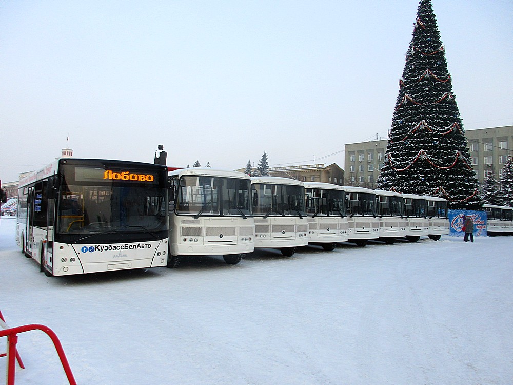 Кемеровская область - Кузбасс — Новые автобусы