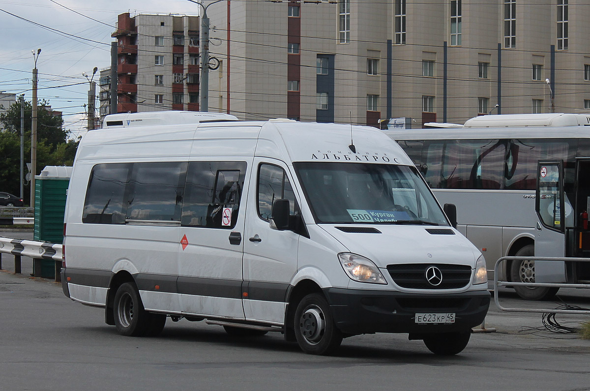 Курганская область, Луидор-223602 (MB Sprinter) № Е 623 КР 45