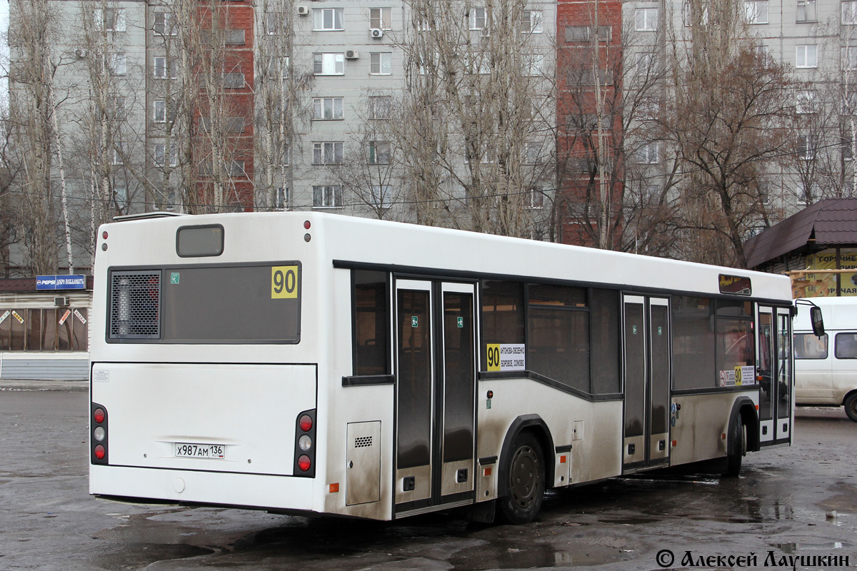 Воронежская область, МАЗ-103.485 № Х 987 АМ 136