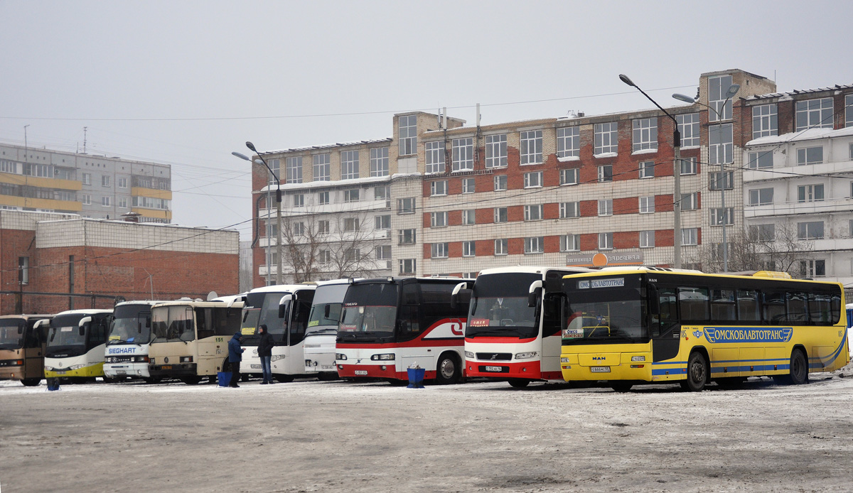 Омская область, MAN A72 Lion's Classic SÜ313 № 185; Омская область — Автовокзалы