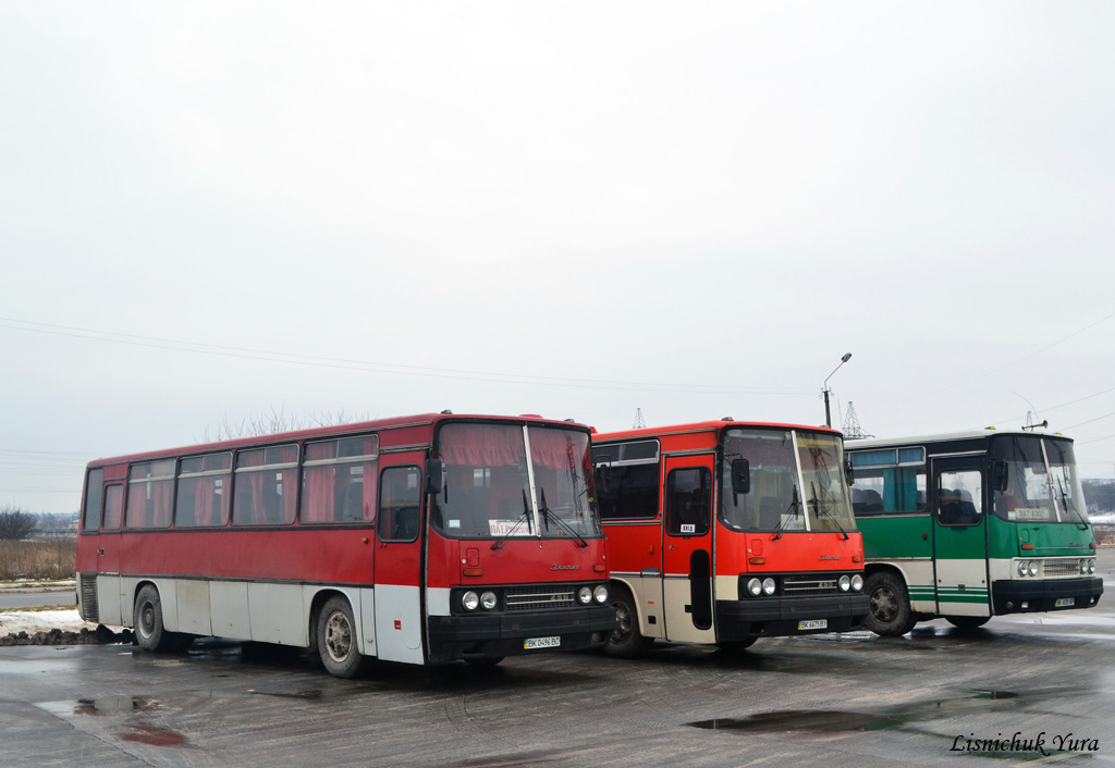 Ровненская область, Ikarus 256.54 № BK 0496 BC