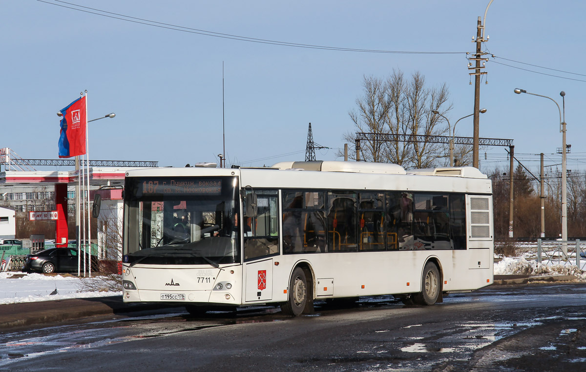 Санкт-Петербург, МАЗ-203.085 № 7711