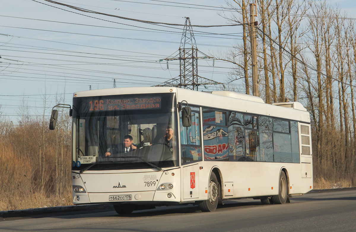 Санкт-Петербург, МАЗ-203.085 № 7899