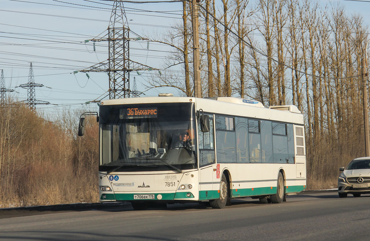 Санкт-Петербург, МАЗ-203.085 № 7851