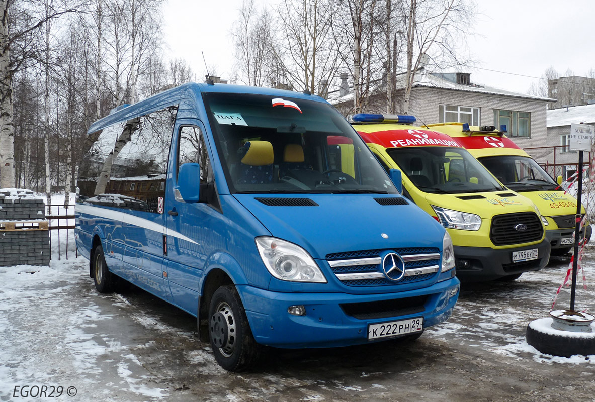 Архангельская область, AS Domžale № К 222 РН 29