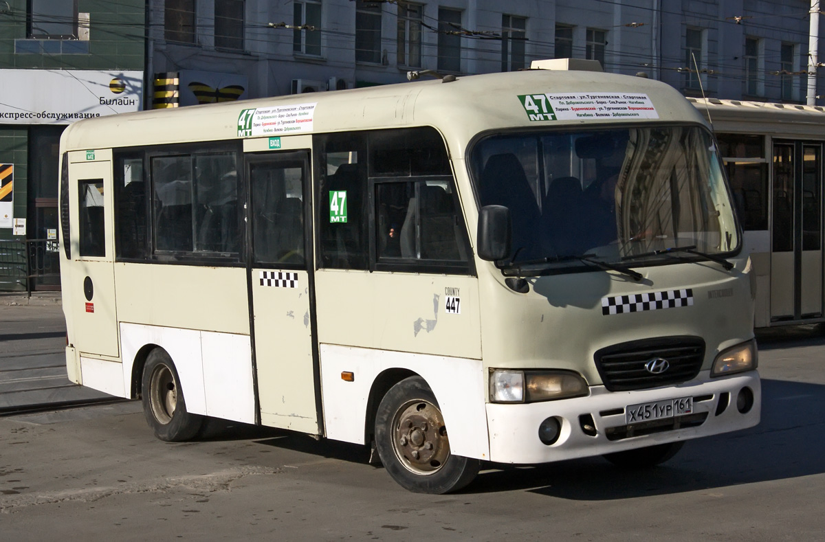 Ростовская область, Hyundai County SWB C08 (РЗГА) № 446