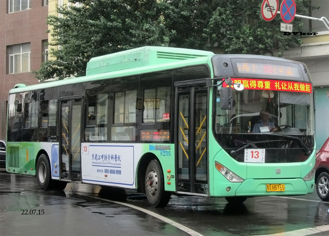 Китай, Zhong Tong LCK6125HGC № 8255