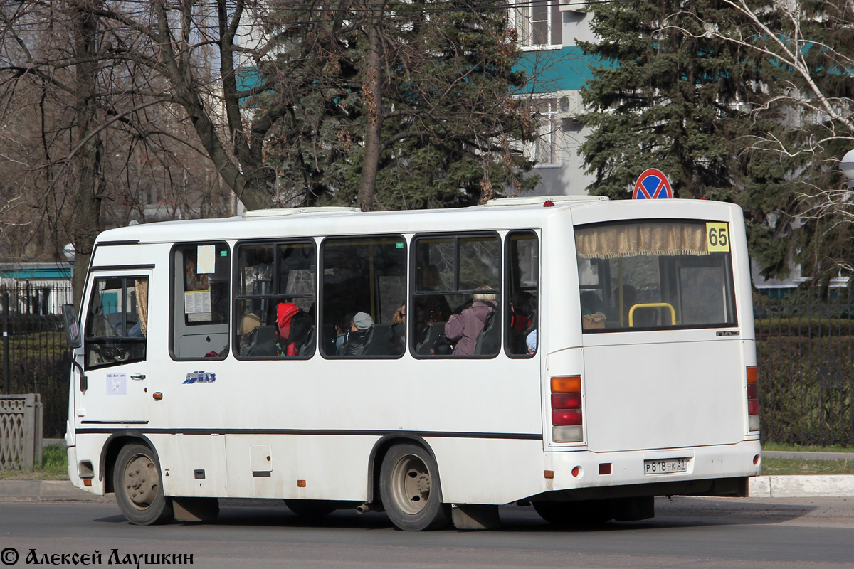 Воронежская область, ПАЗ-320302-08 № Р 818 РК 31