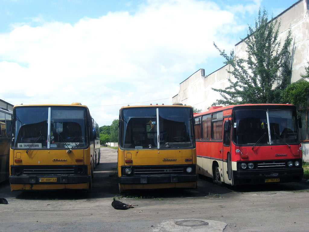 Волынская область, Ikarus 260 (280) № AC 0089 AA; Волынская область, Ikarus 280.33 № б/н2; Волынская область, Ikarus 250.59 № BT 1965 AA; Волынская область — Разные фотографии