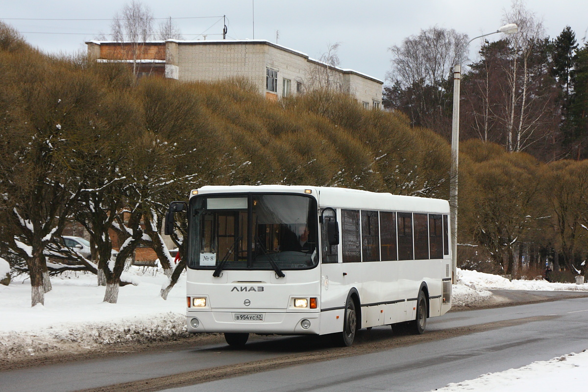 Leningradská oblast, LiAZ-5256.60 č. В 954 УС 47