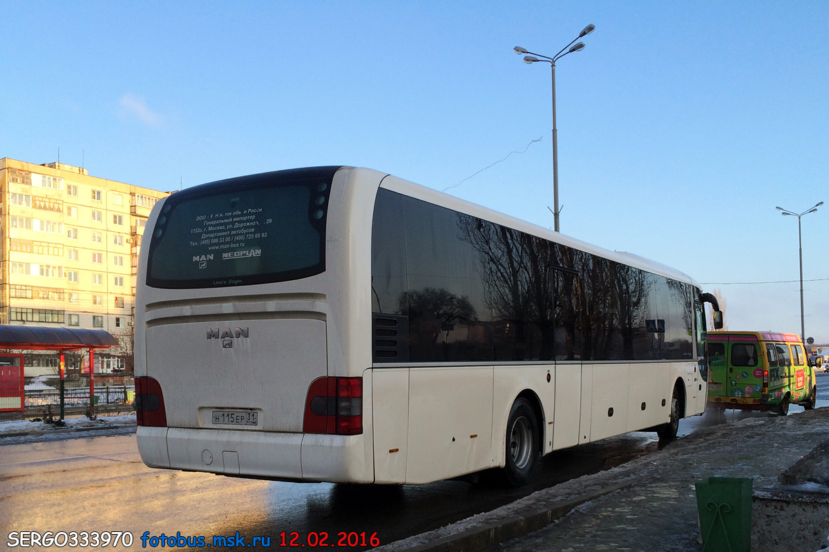 Белгородская область, MAN R14 Lion's Regio C ÜL314 C № Н 115 ЕР 31