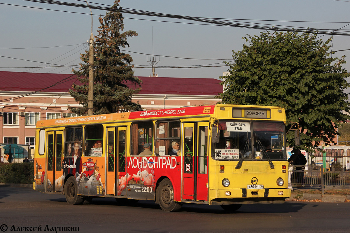 Воронежская область, ЛиАЗ-5256.30 № Х 801 УВ 36