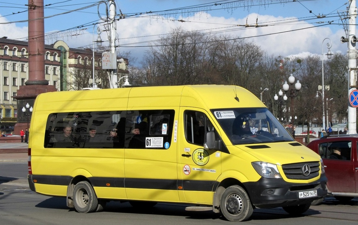 Калининградская область, Луидор-223610 (MB Sprinter) № 052