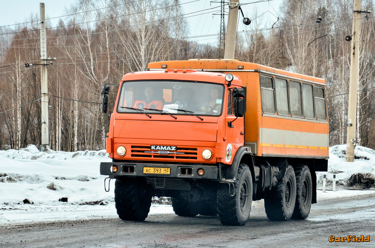 Кемеровская область - Кузбасс, НефАЗ-4208-03 № АС 393 42