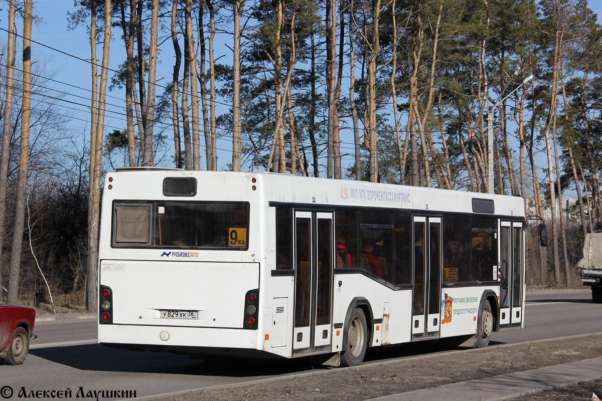 Воронежская область, МАЗ-103.469 № У 829 ХК 36