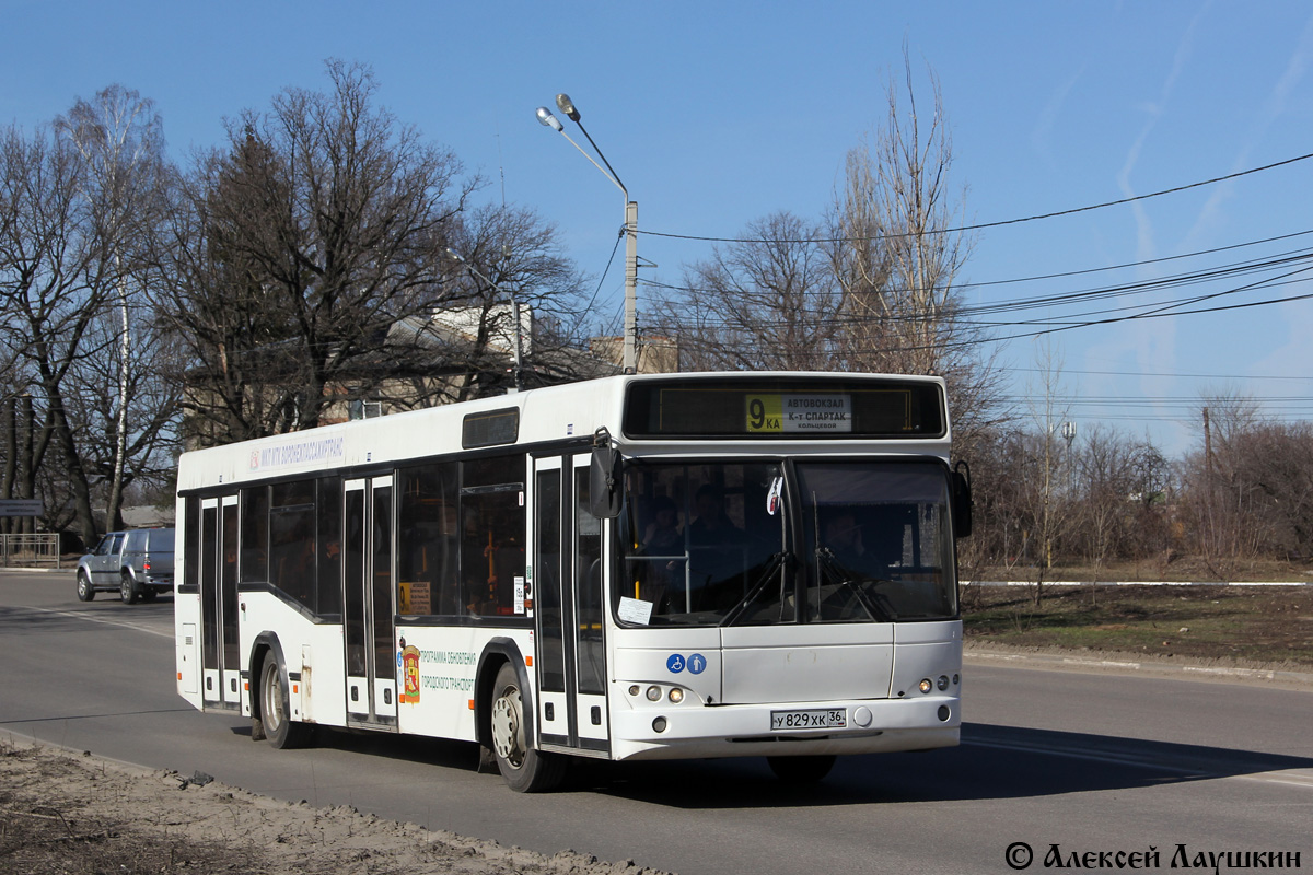 Воронежская область, МАЗ-103.469 № У 829 ХК 36