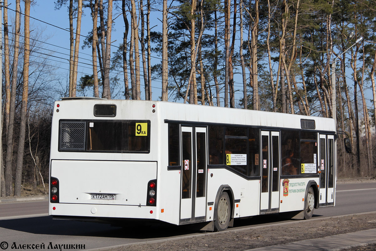 Воронежская область, МАЗ-103.465 № Х 172 АМ 136