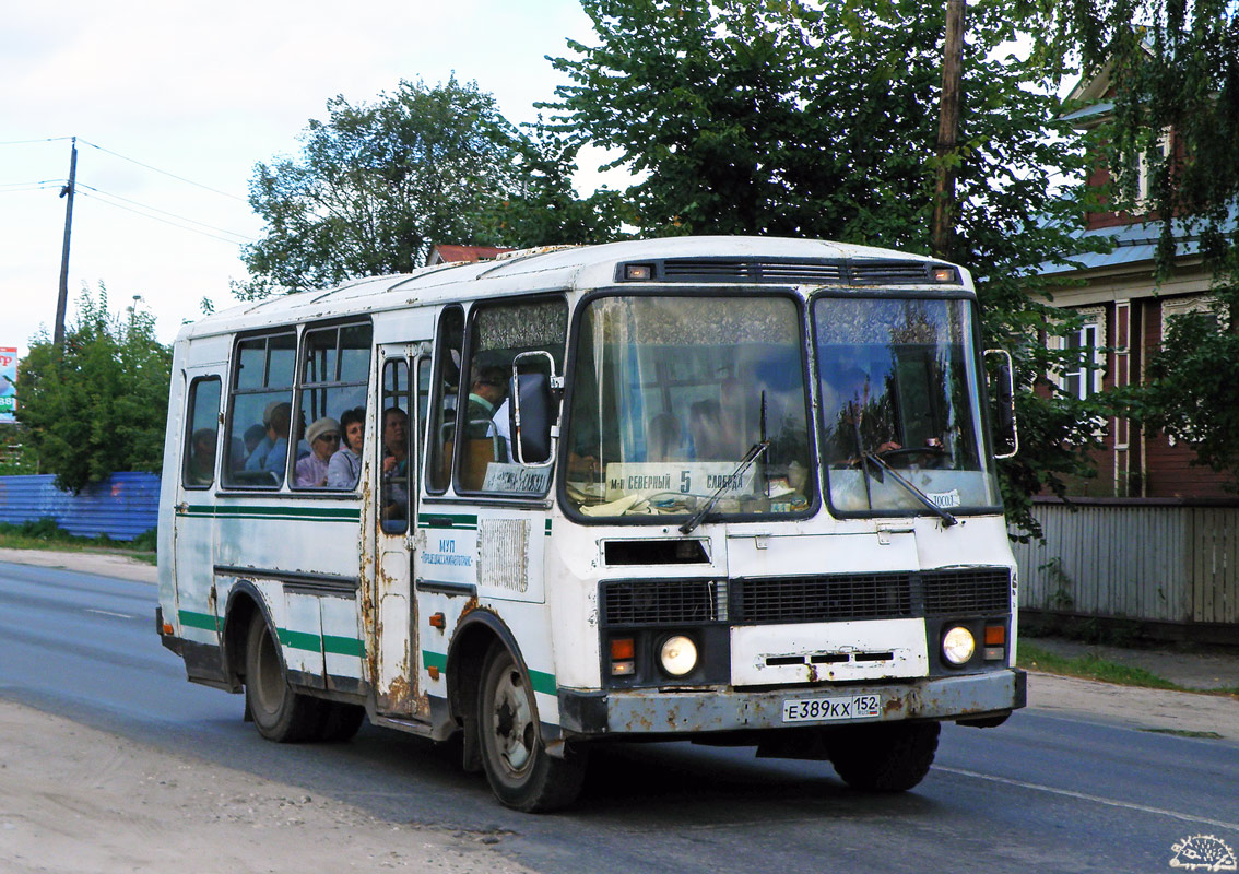 Нижегородская область, ПАЗ-3205-110 № Е 389 КХ 152