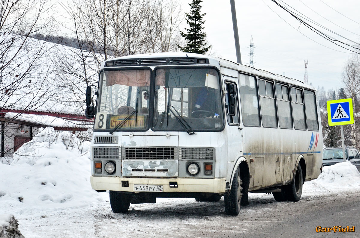 Кемеровская область - Кузбасс, ПАЗ-4234 № 3