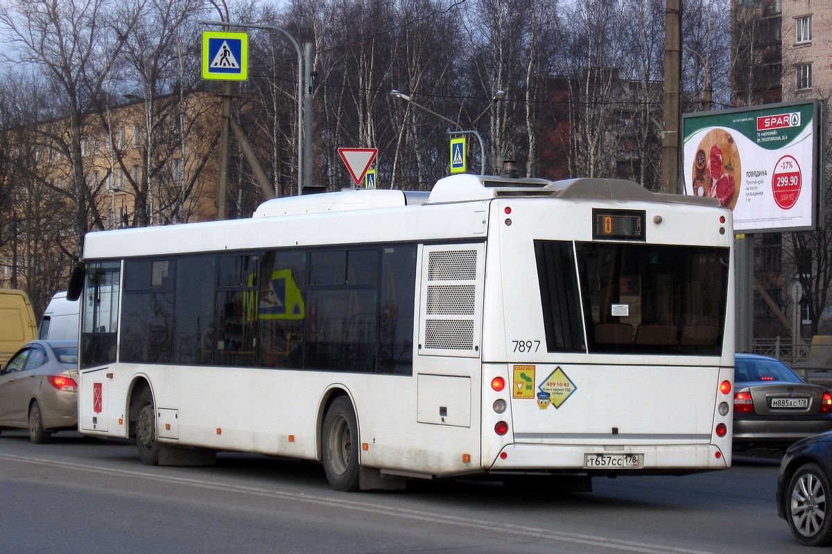 Санкт-Петербург, МАЗ-203.085 № 7897