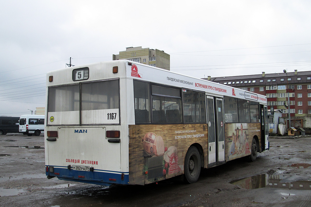 Калининградская область, MAN 791 SL202 № 1167