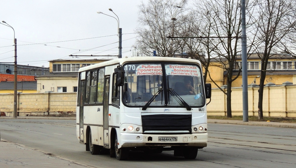 Санкт-Петербург, ПАЗ-320402-05 № 8877