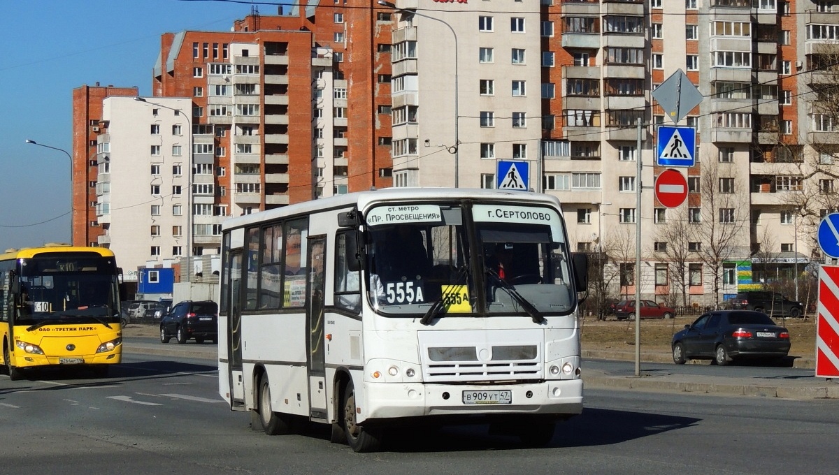 Ленинградская область, ПАЗ-320402-05 № 31