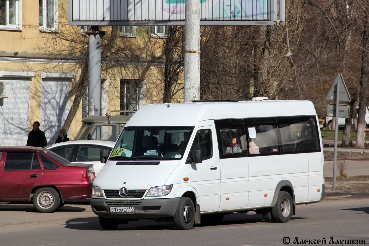 Воронежская область, Луидор-223203 (MB Sprinter Classic) № В 175 АЕ 136