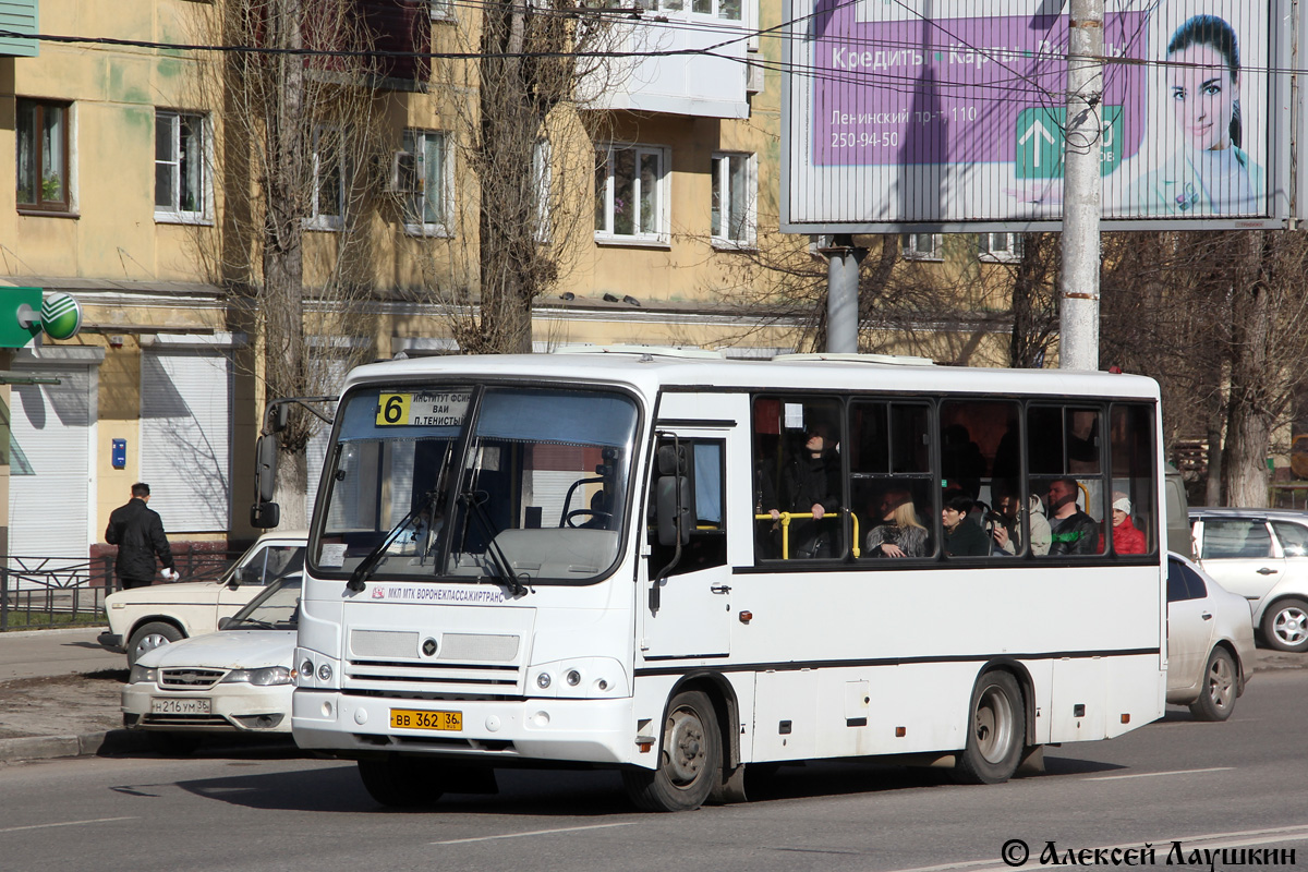 Воронежская область, ПАЗ-320402-05 № ВВ 362 36