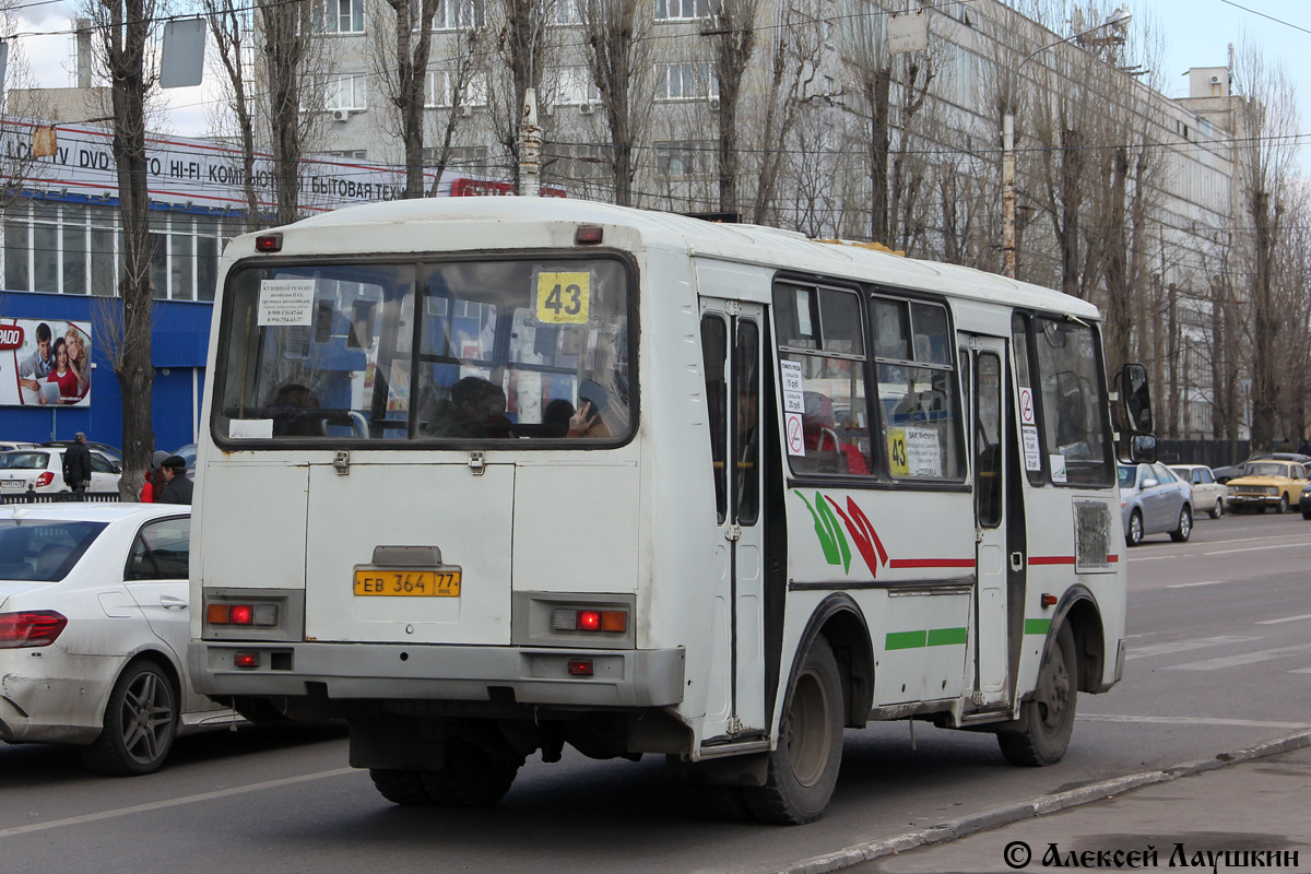 Воронежская область, ПАЗ-32053 № ЕВ 364 77