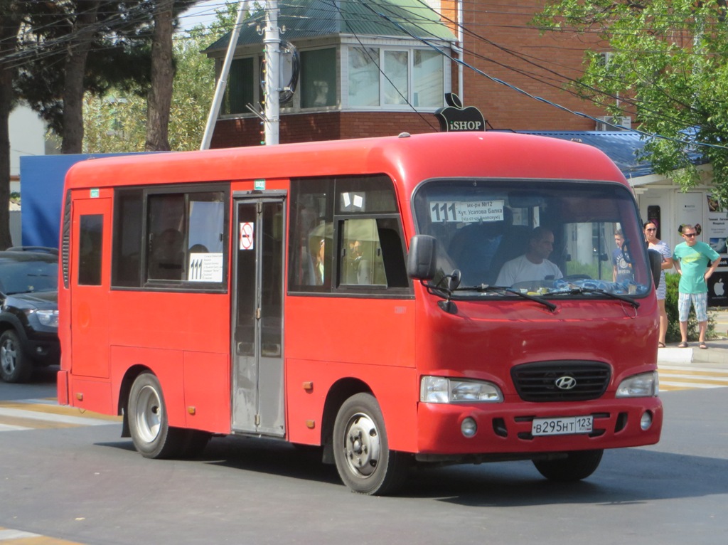 Краснадарскі край, Hyundai County SWB C08 (ТагАЗ) № В 295 НТ 123