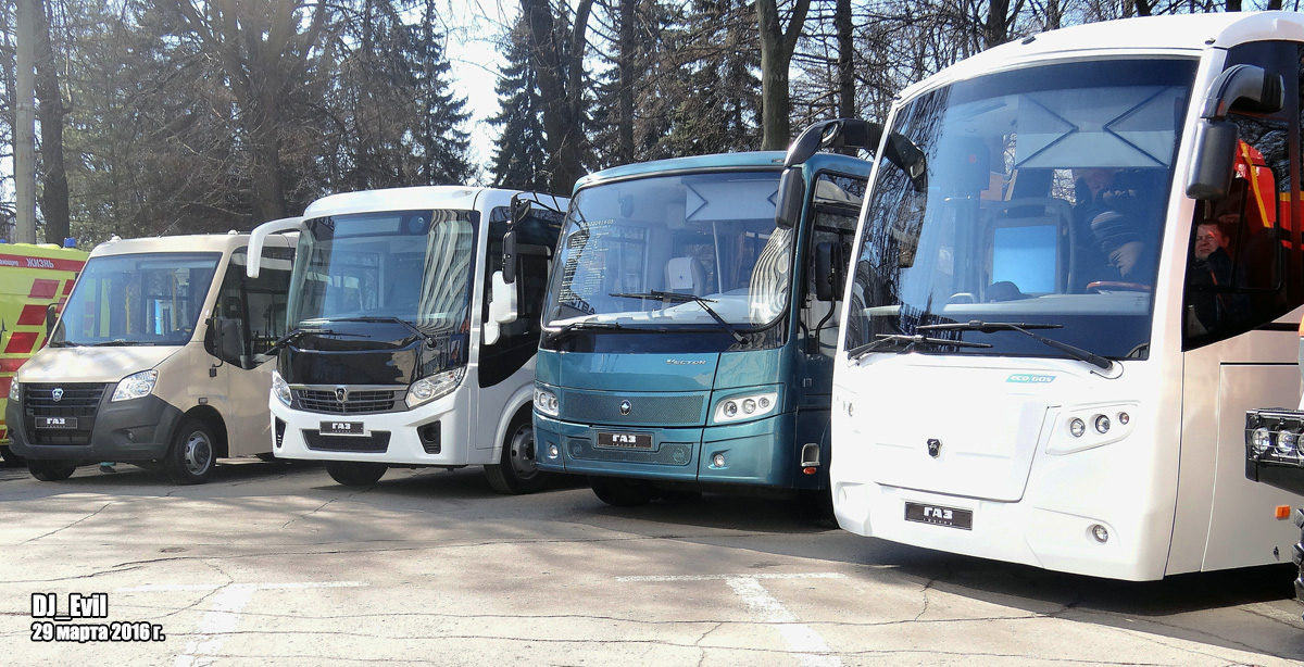 Нижегородская область — Выставки