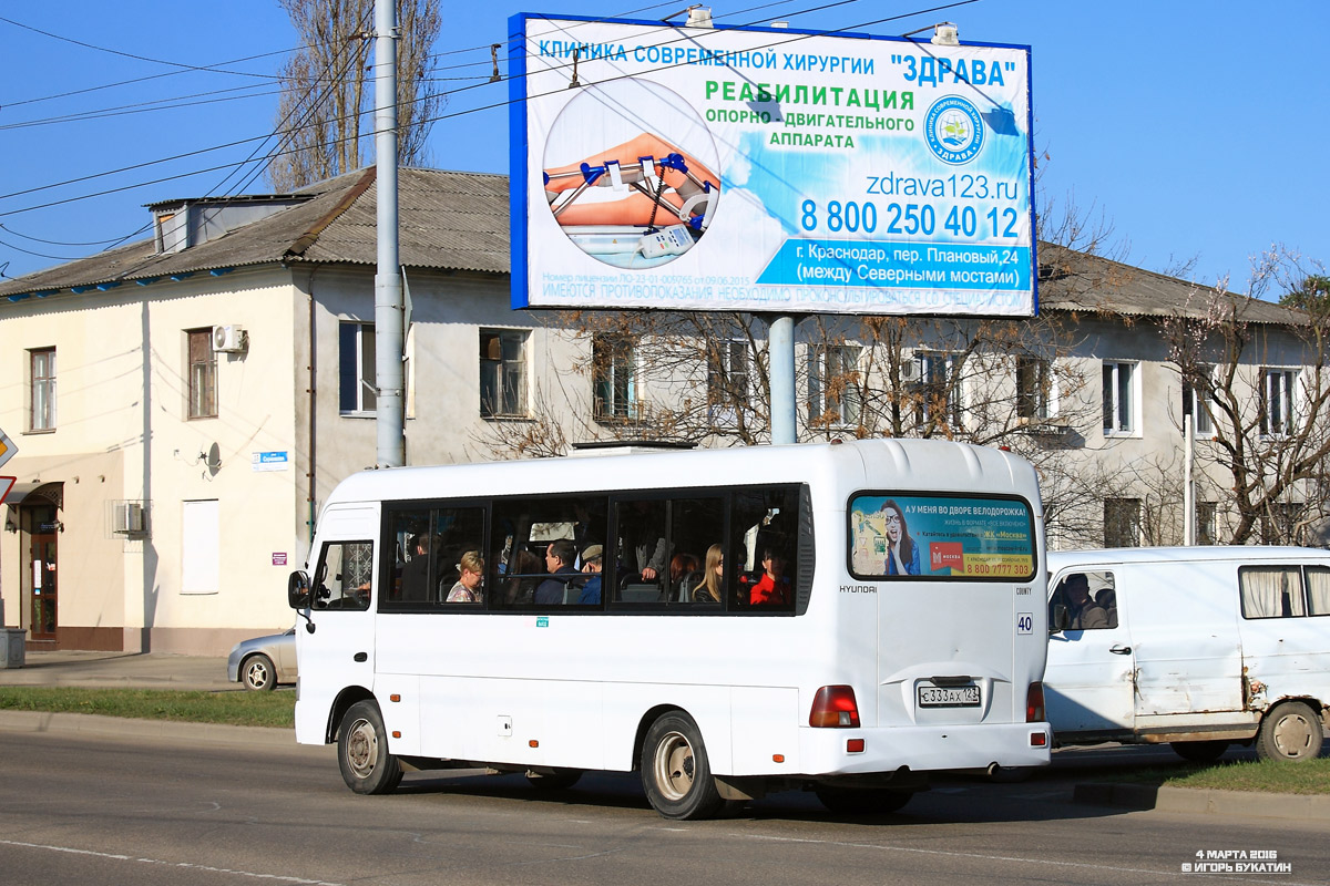 Краснодарский край, Hyundai County LWB C09 (ТагАЗ) № С 333 АХ 123