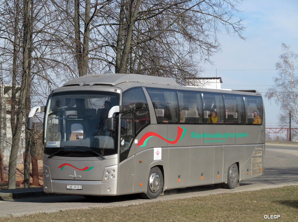 Віцебская вобласць, МАЗ-251.050 № 021733