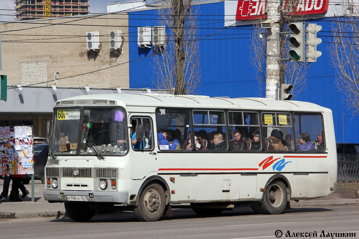 Воронежская область, ПАЗ-4234-05 № Р 198 УК 36