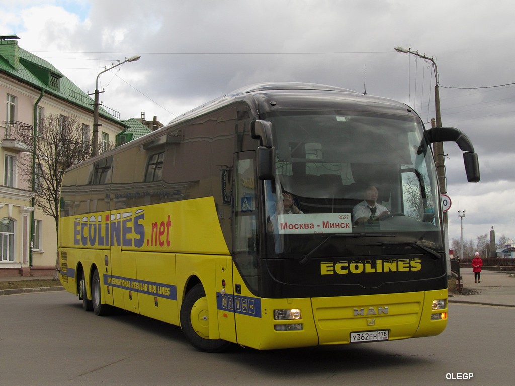 Санкт-Петербург, MAN R08 Lion's Coach L RHC444 L № 317