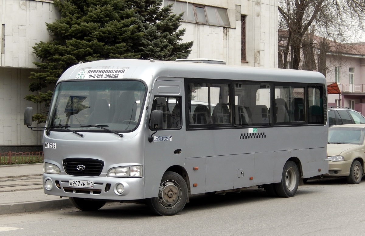 Ростовская область, Hyundai County LWB C11 (ТагАЗ) № 005236