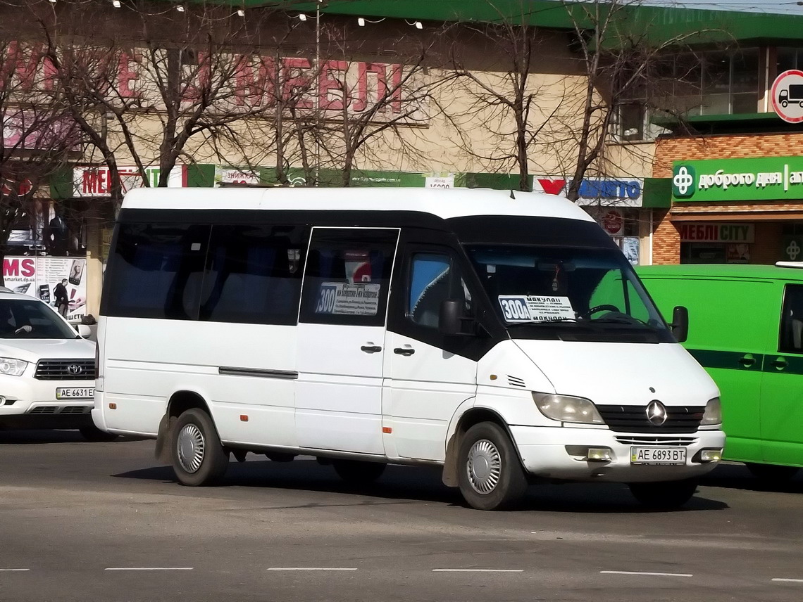 Днепропетровская область, Mercedes-Benz Sprinter W903 311CDI № AE 6893 BT