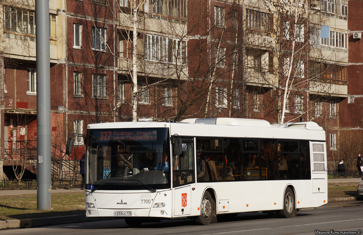 Санкт-Петербург, МАЗ-203.085 № 7700