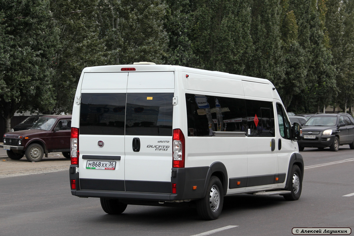 Воронежская область, IRITO-Ducato L4H2 (Z8P) № М 868 ХХ 36