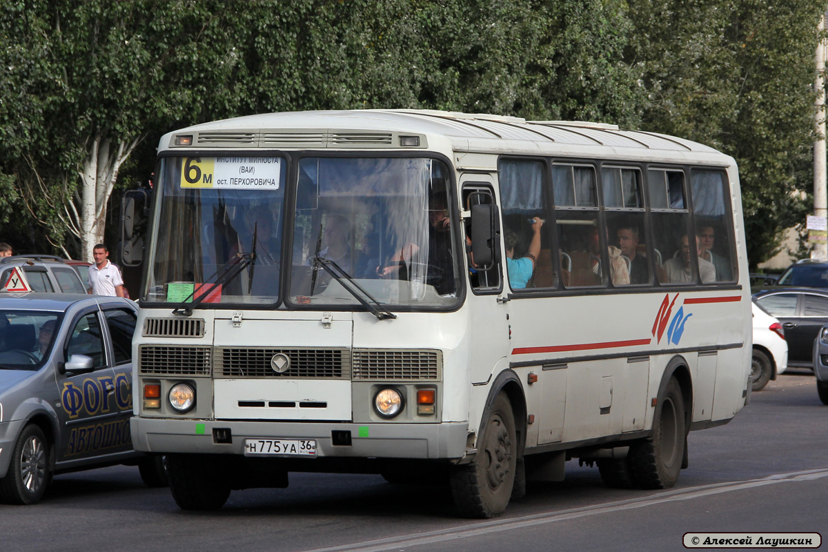 Воронежская область, ПАЗ-4234 № Н 775 УА 36