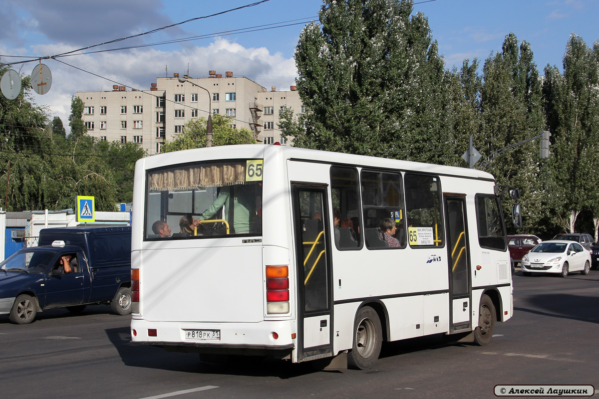 Воронежская область, ПАЗ-320302-08 № Р 818 РК 31