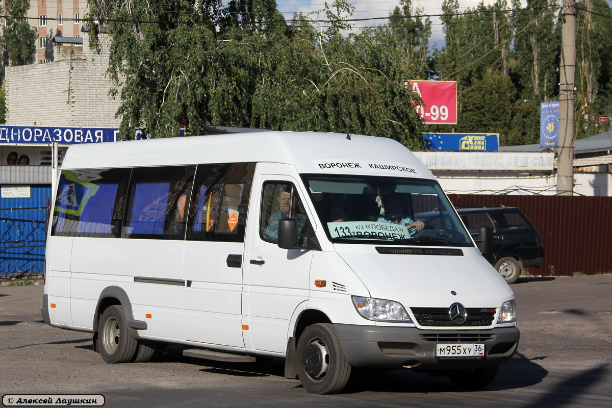 Воронежская область, Луидор-223203 (MB Sprinter Classic) № М 955 ХУ 36 —  Фото — Автобусный транспорт