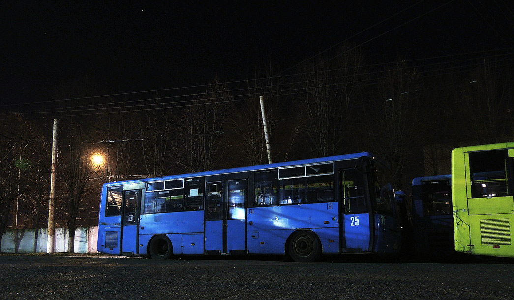 Волынская область, Богдан А1441 (ЛуАЗ) № 25