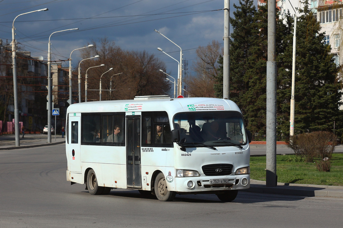 Ростовская область, Hyundai County LWB C09 (ТагАЗ) № 002425