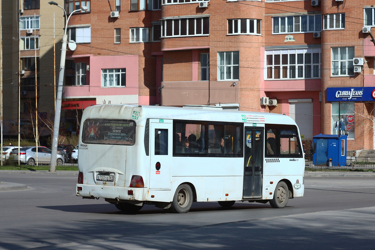 Ростовская область, Hyundai County LWB C09 (ТагАЗ) № 002425