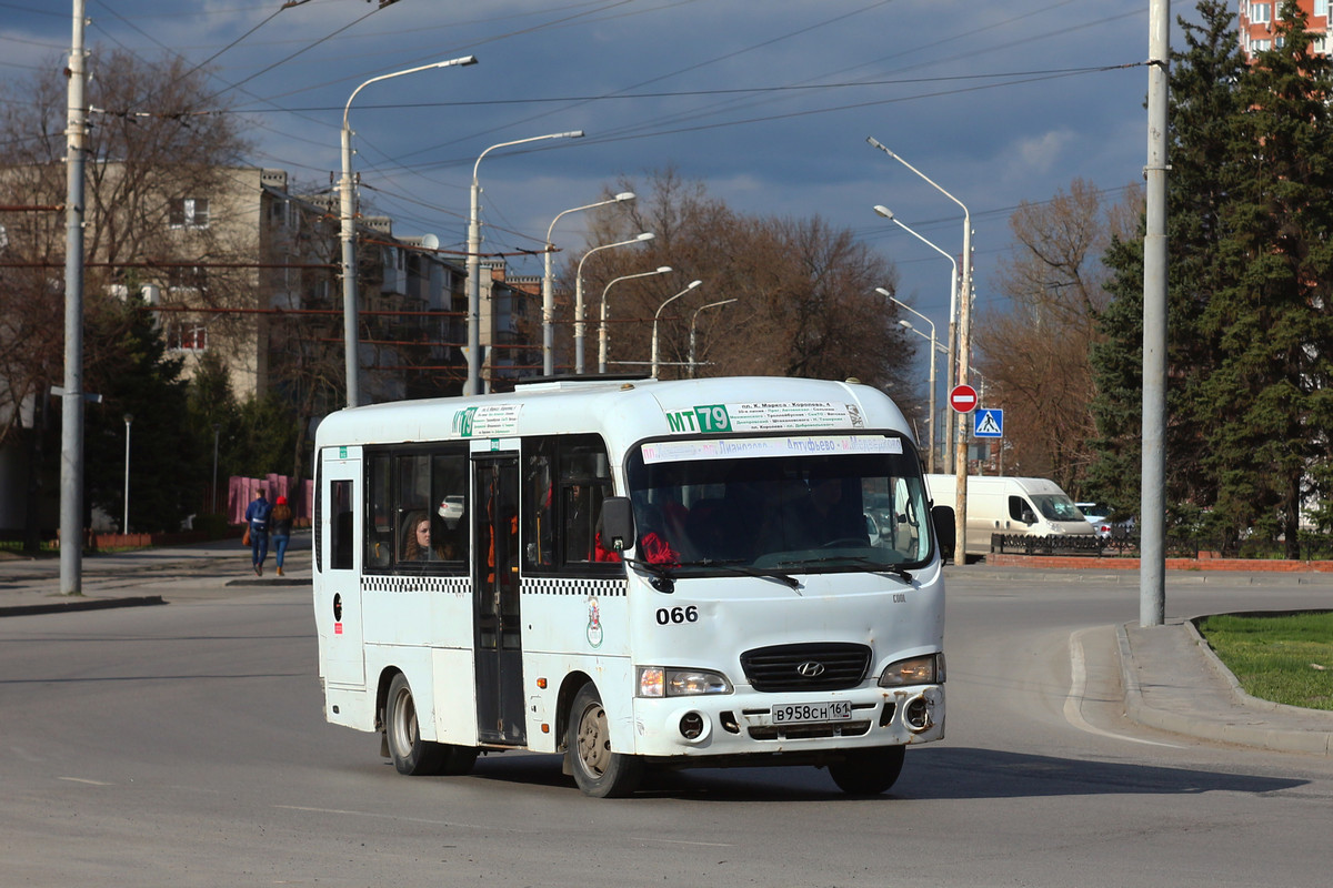 Ростовская область, Hyundai County SWB C08 (ТагАЗ) № 066