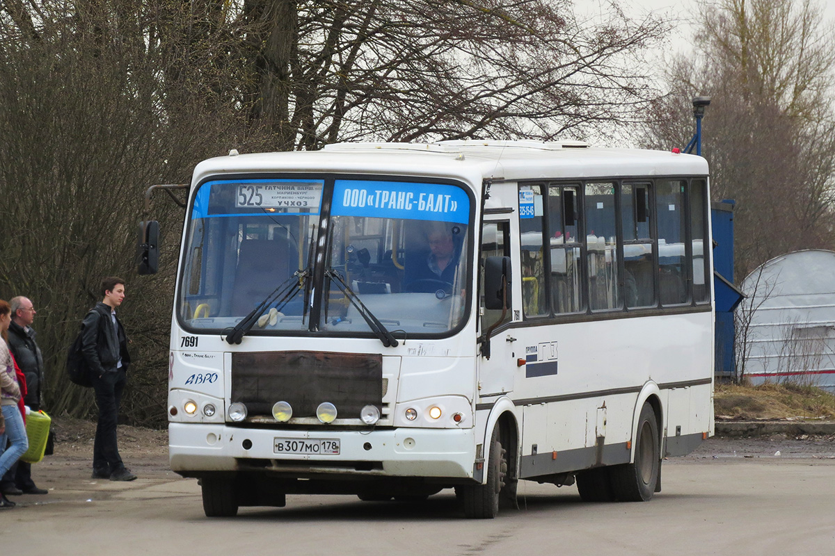 Ленинградская область, ПАЗ-320412-05 № 7691