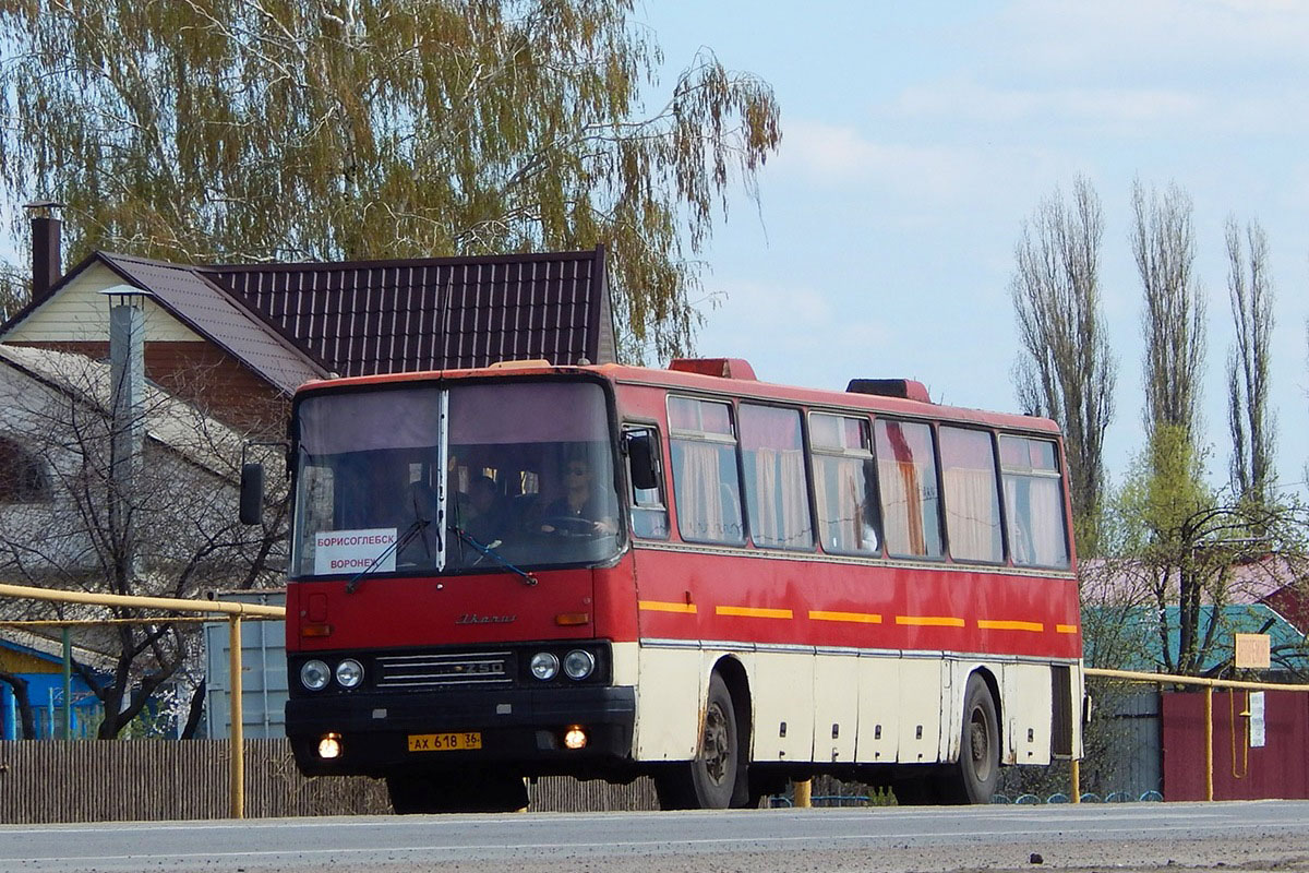 Воронежская область, Ikarus 250.59 № АХ 618 36 — Фото — Автобусный транспорт